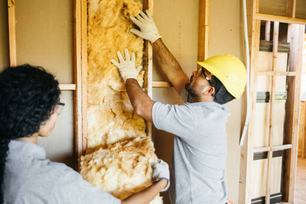Best Affordable Insulation Services  in Norton Shores, MI