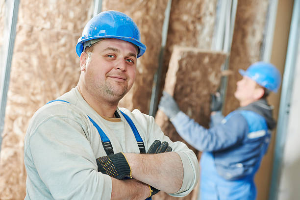 Best Cellulose Insulation  in Norton Shores, MI